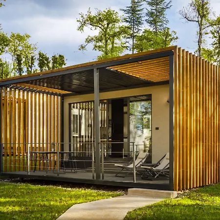 Willa Aminess Younique Gaia *