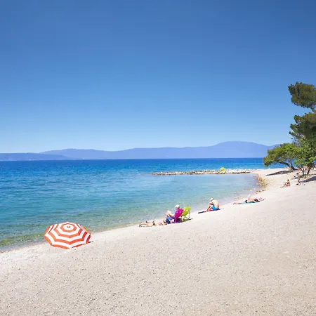 Aminess Younique Gaia * Nijvice