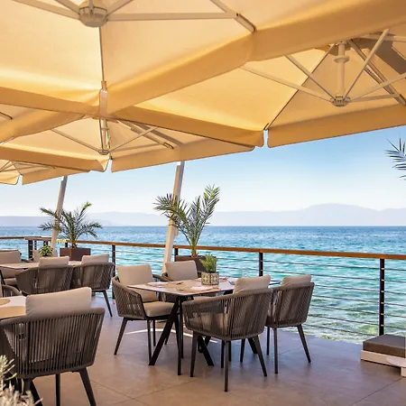 Aminess Younique Gaia *