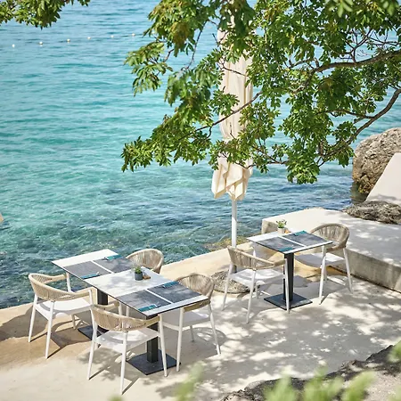 Willa Aminess Younique Gaia Nijvice